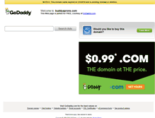 Tablet Screenshot of buddyaprons.com